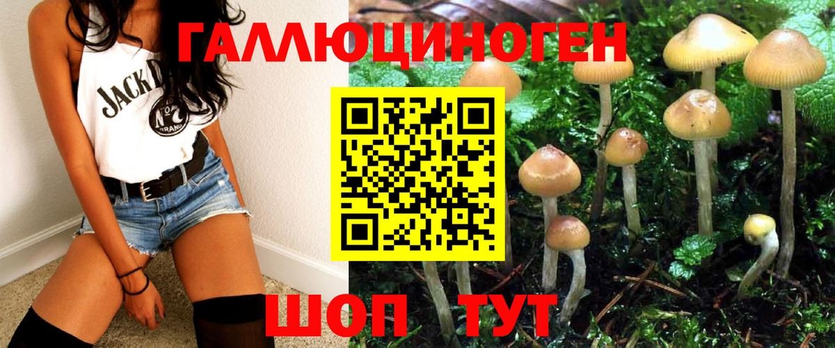 Галлюциногенные грибы Cubensis Россия