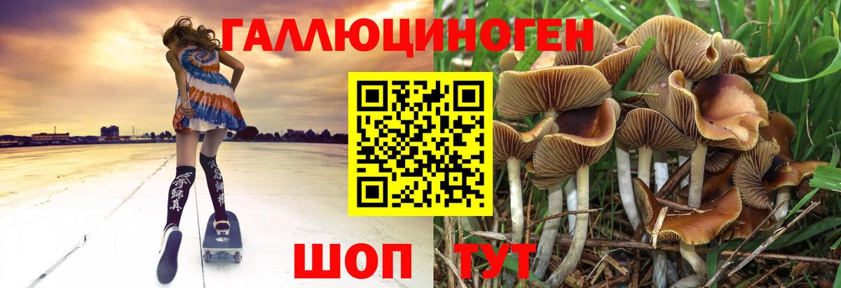 Псилоцибиновые грибы ЛСД  где продают   Россия  Вход с VPN 